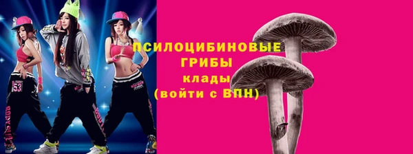 каннабис Богородицк