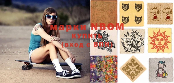 spice Богородск