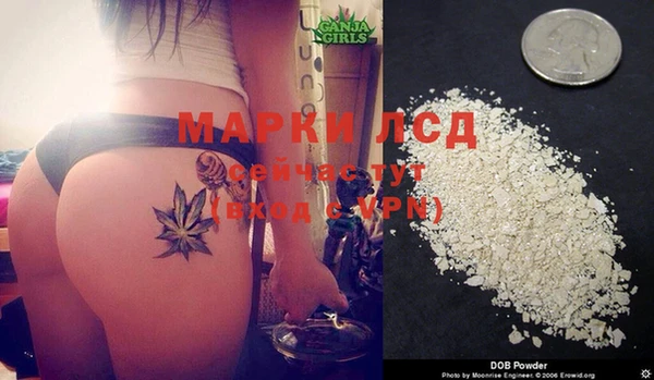 spice Богородск