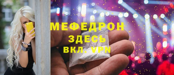 spice Богородск