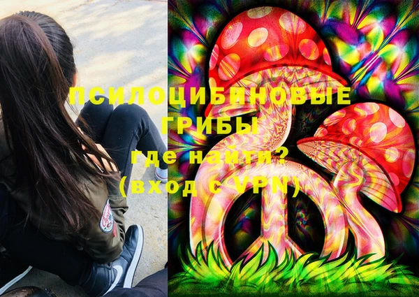 spice Богородск