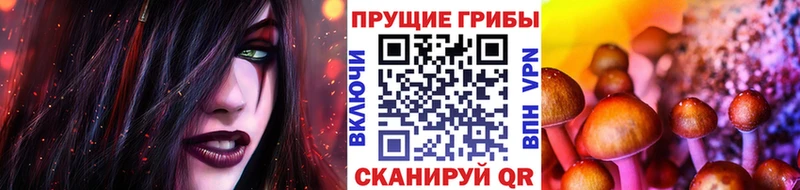 Псилоцибиновые грибы Psilocybine cubensis  Купить  Кулебаки 
