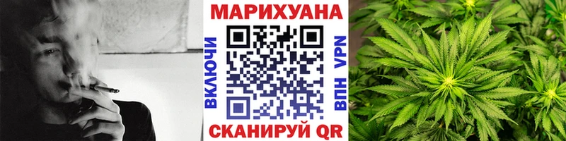 Купить где Кулебаки Конопля ГИДРОПОН